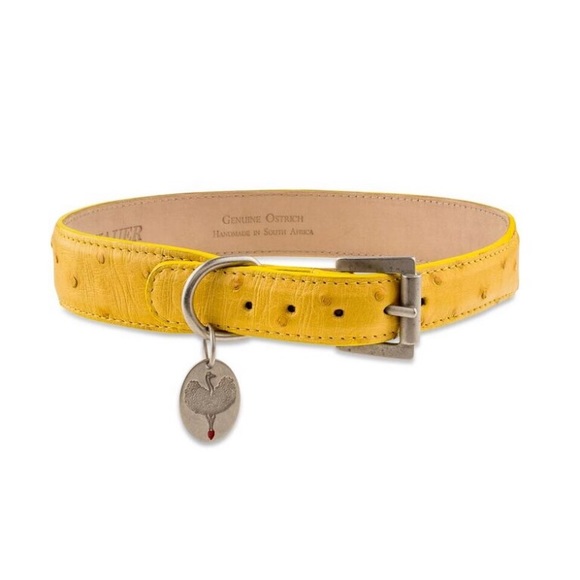 Handmade Ostrich Dog Collar - Picture 6 of 7